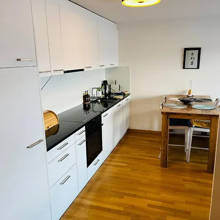 Joli 2 Pieces Et Demi Confort, Balcon Du Ciel Mont-noble Nax