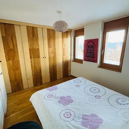 Joli 2 Pieces Et Demi Confort, Balcon Du Ciel Mont-noble